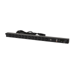 TLK-PPI-MN-A12-M21-BK 12 гнезд С13, 16A, металлический корпус